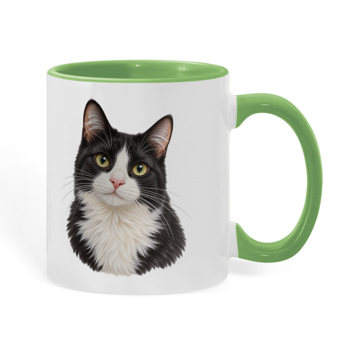To My Loving Kitties