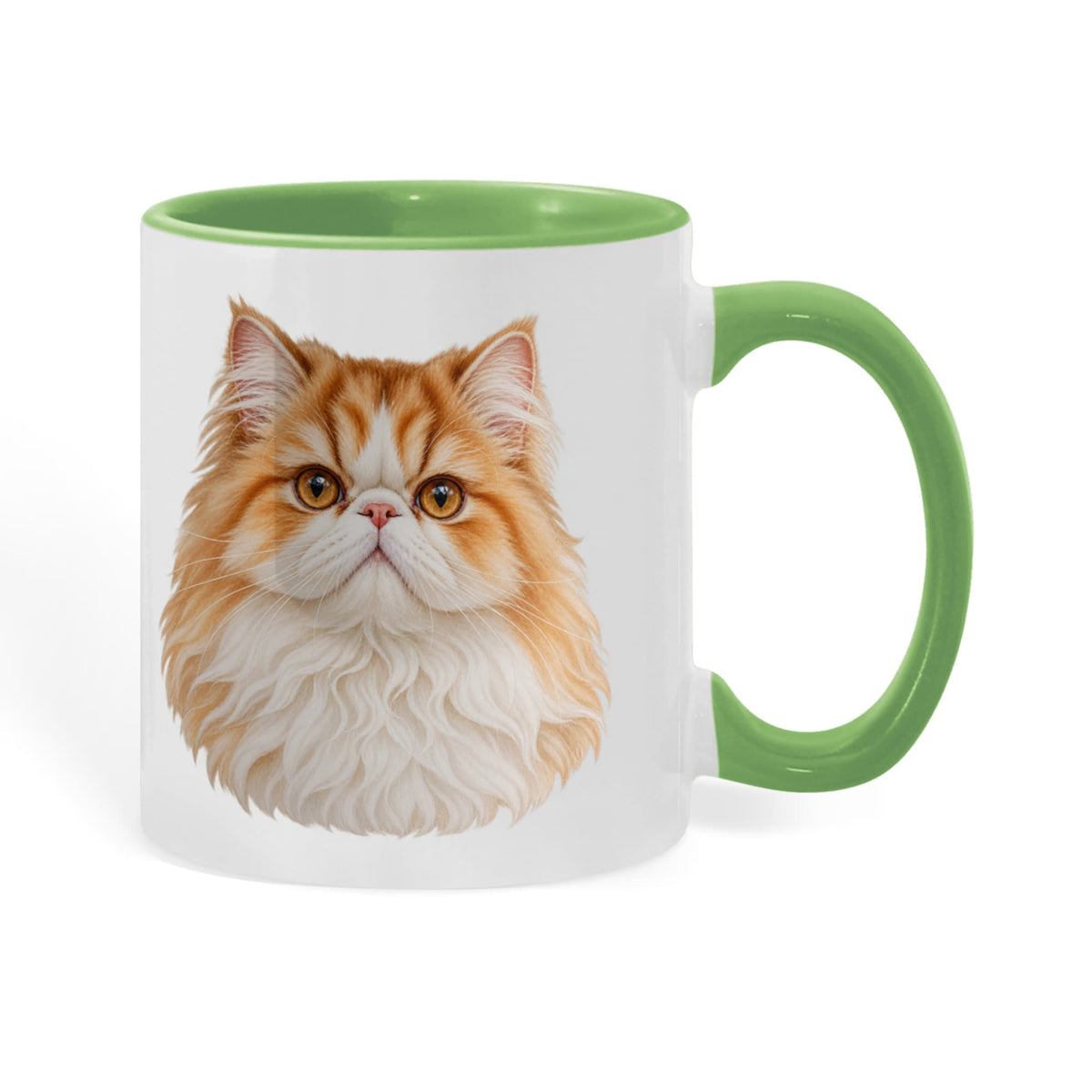 To My Loving Kitties