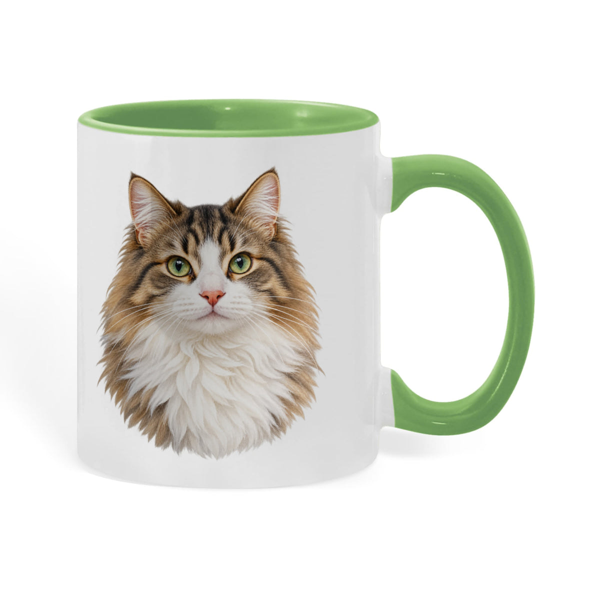 To My Loving Kitties