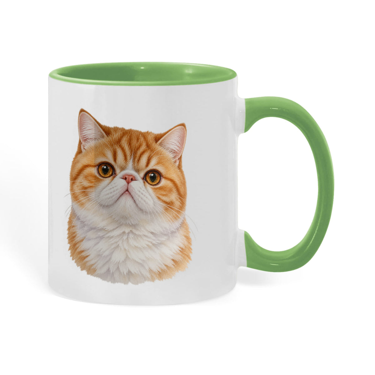 For The Love Of My Kitties