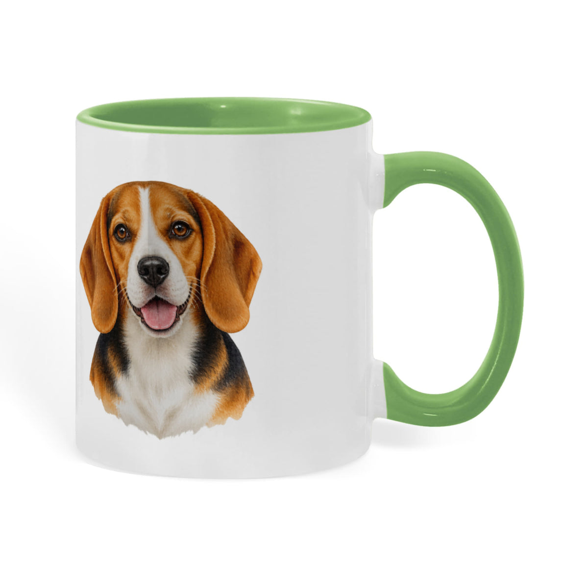Beagle