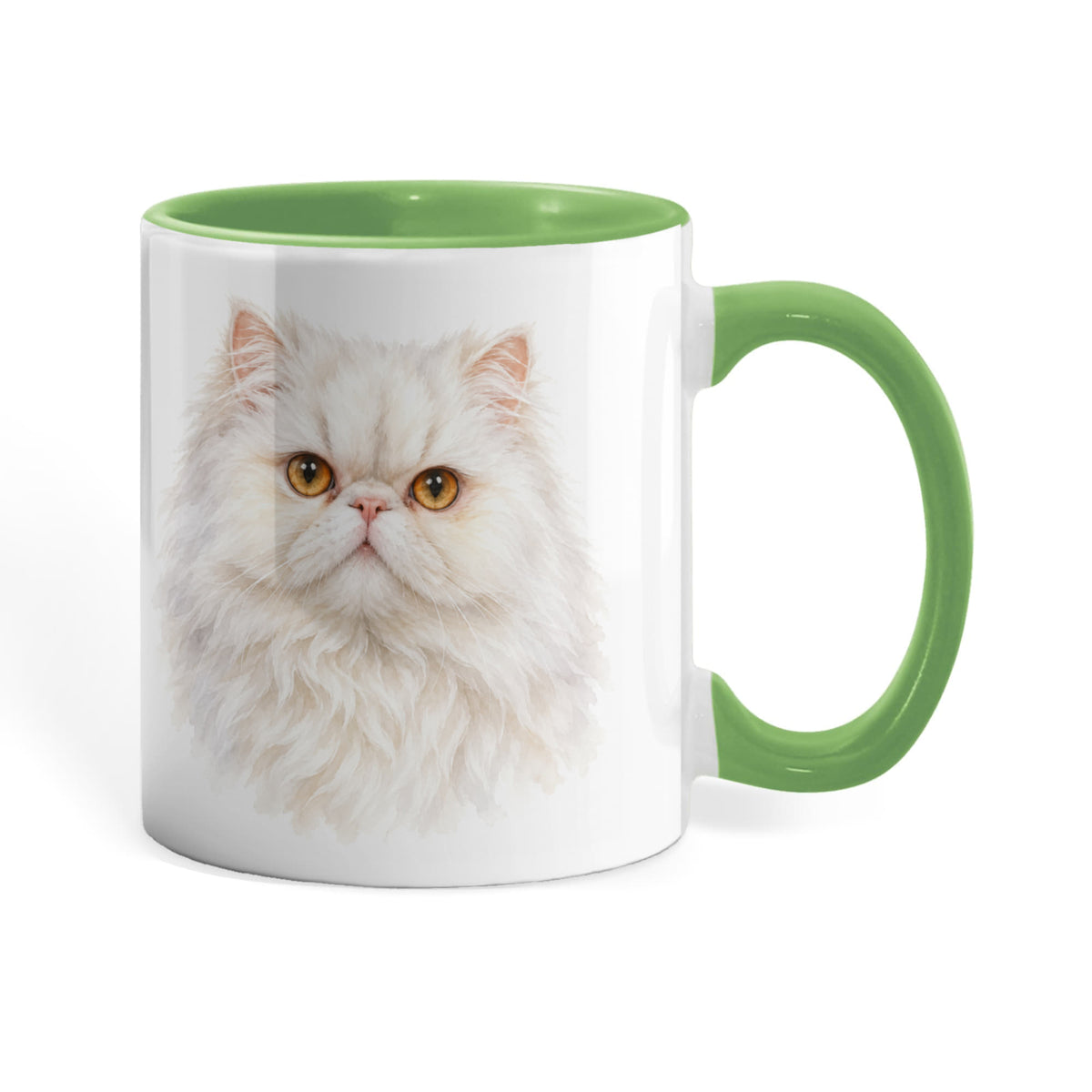 To My Loving Kitties