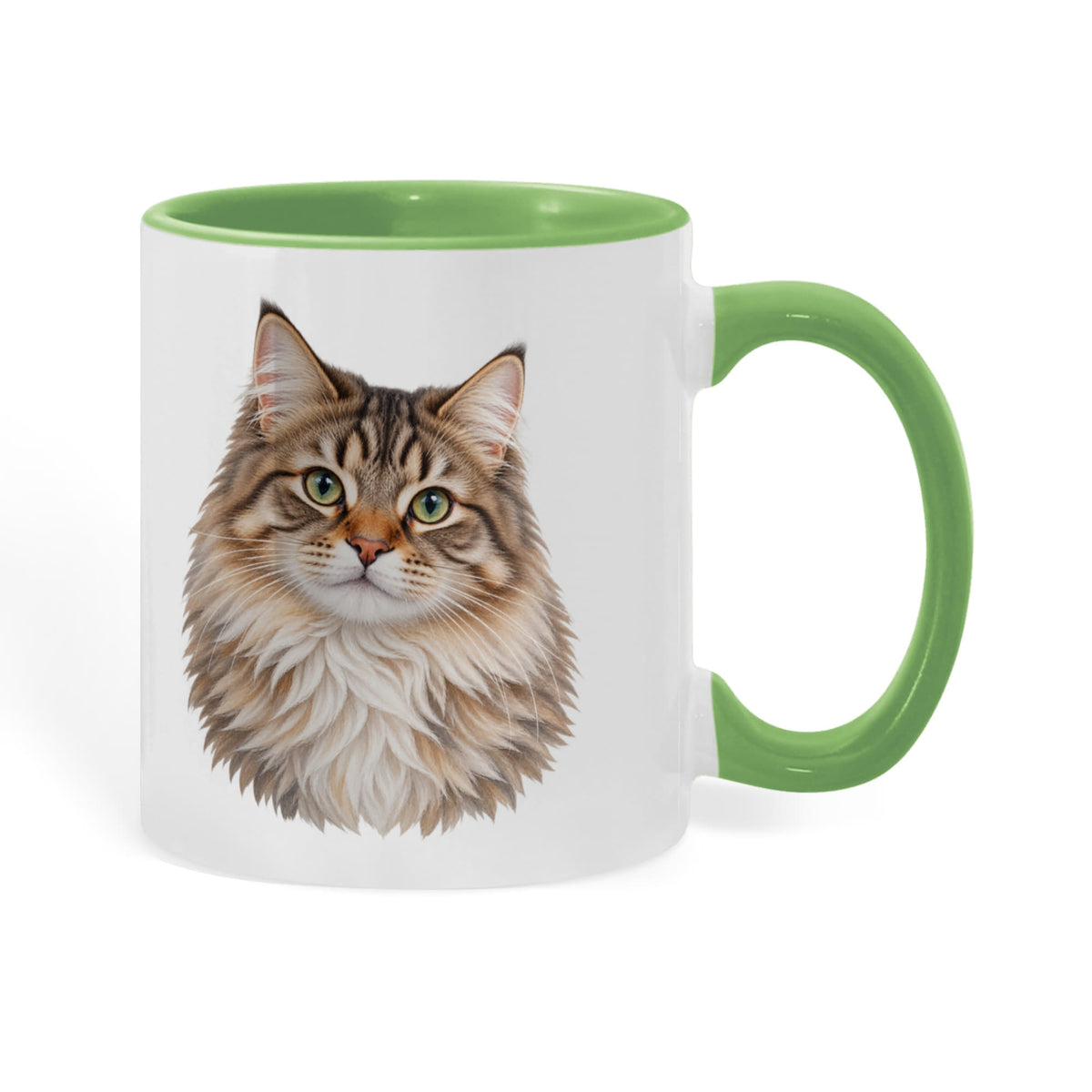 To My Loving Kitties