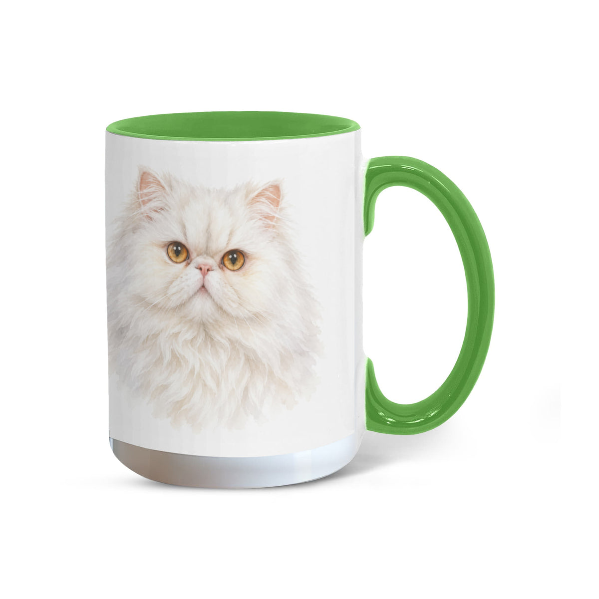 To My Loving Kitties