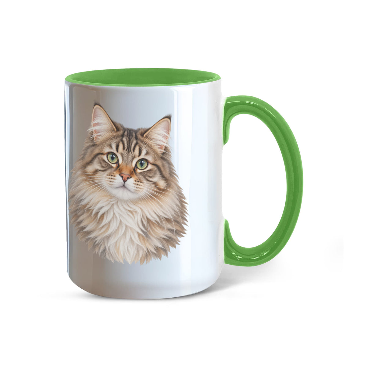 To My Loving Kitties