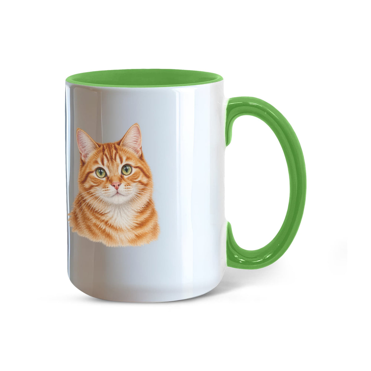 To My Loving Kitties