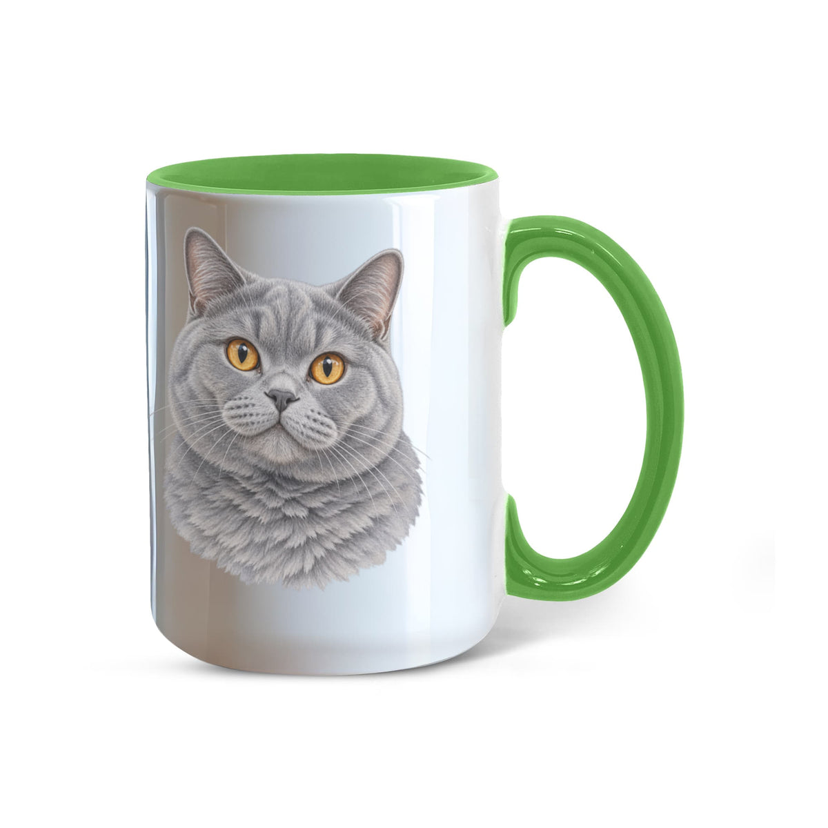To My Loving Kitties