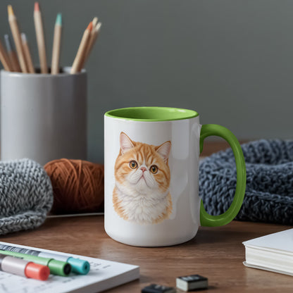 For The Love Of My Kitties