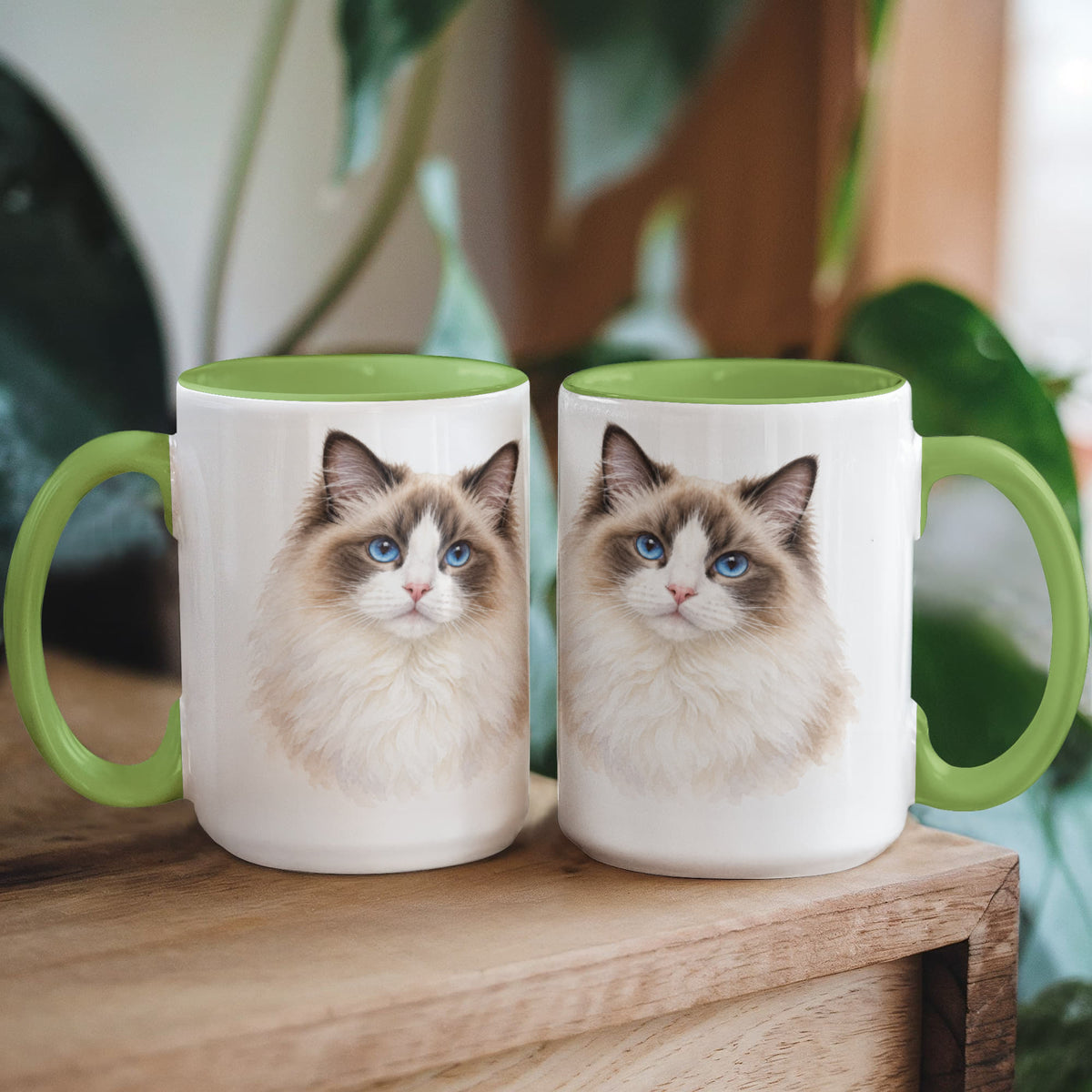 To My Loving Kitties