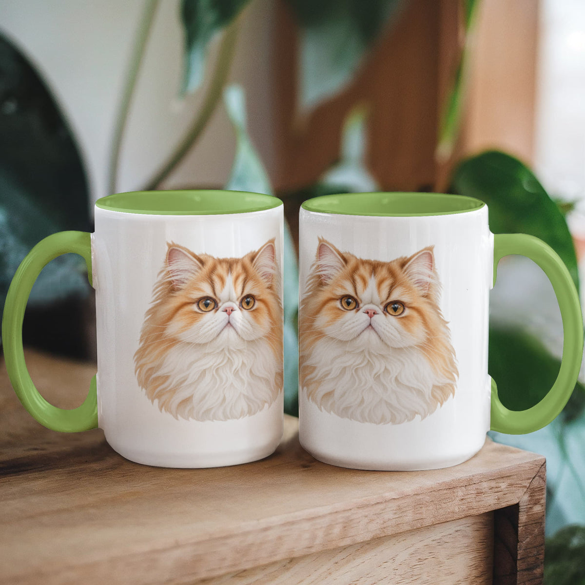 To My Loving Kitties