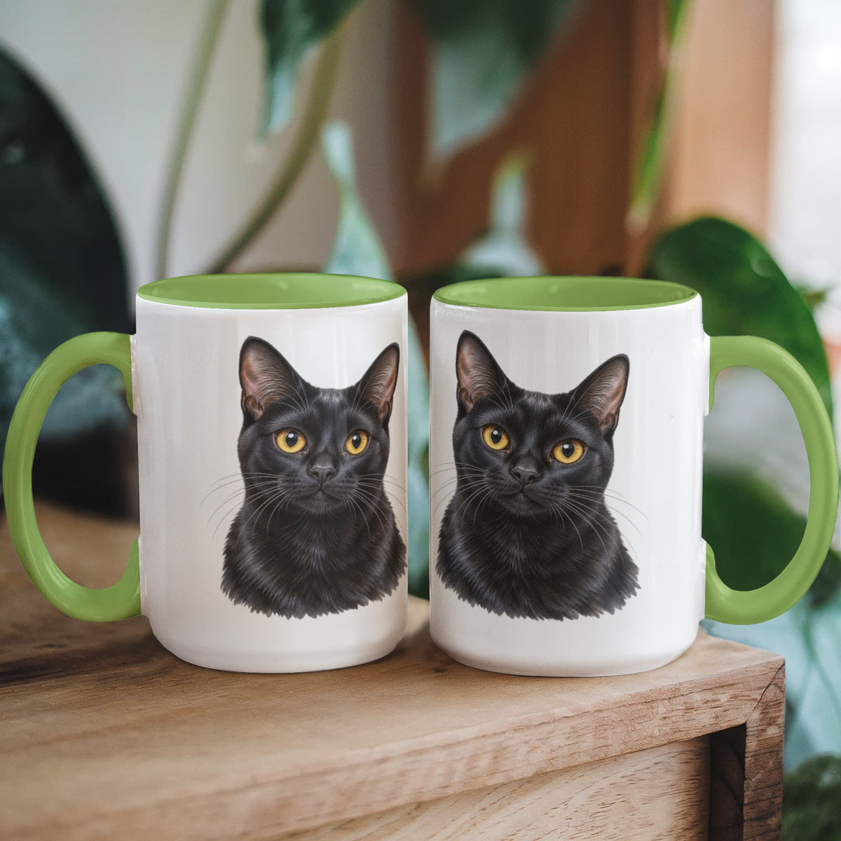 To My Loving Kitties