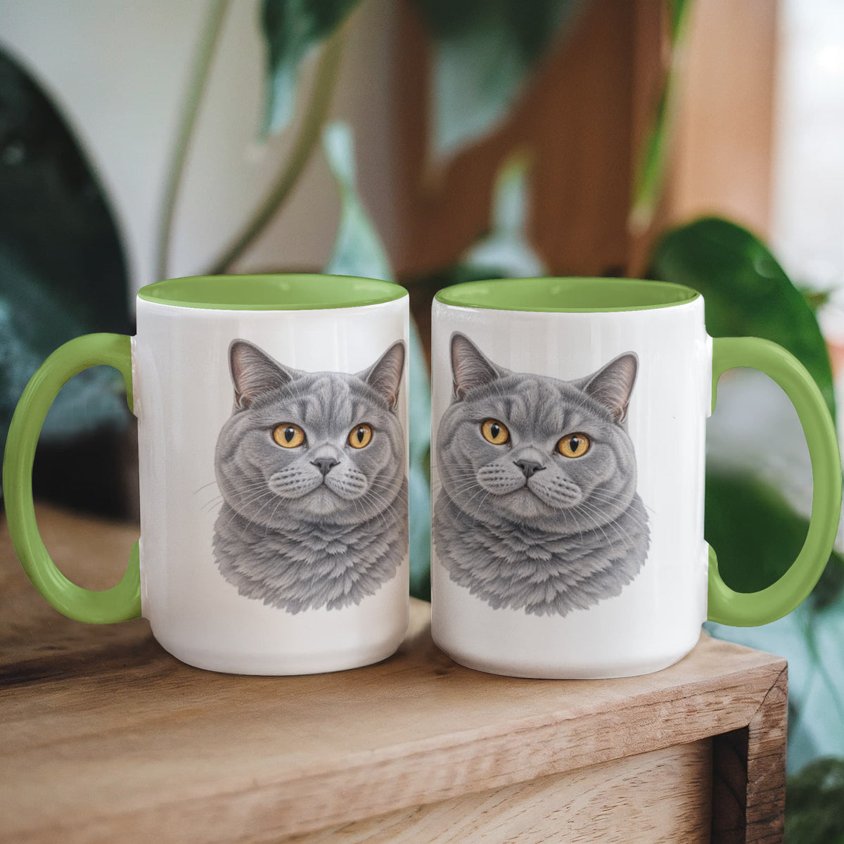 To My Loving Kitties