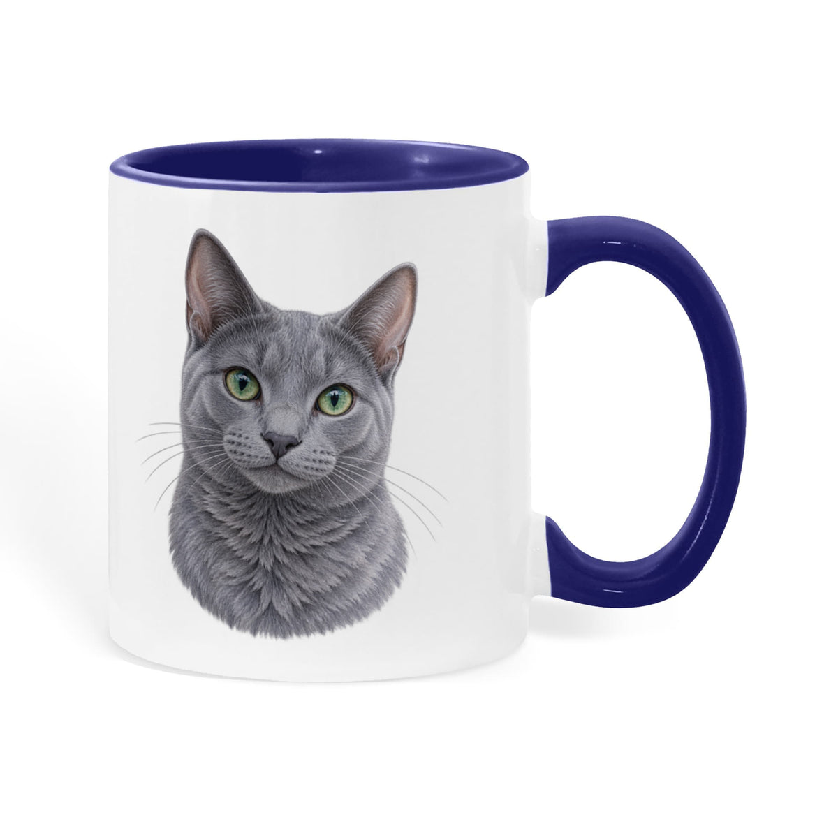 To My Loving Kitties