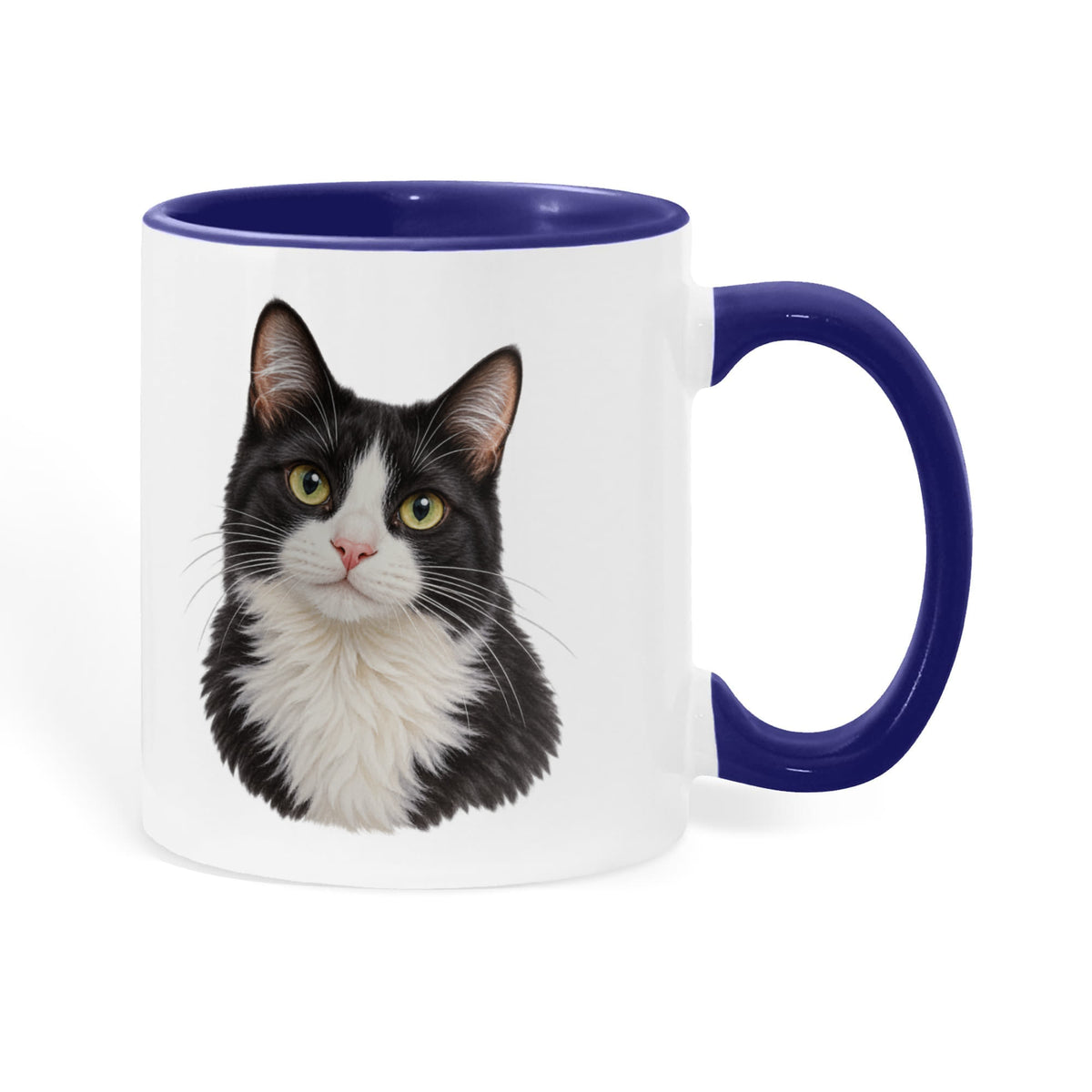 To My Loving Kitties