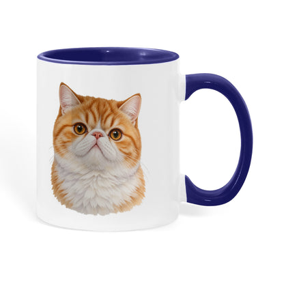 For The Love Of My Kitties