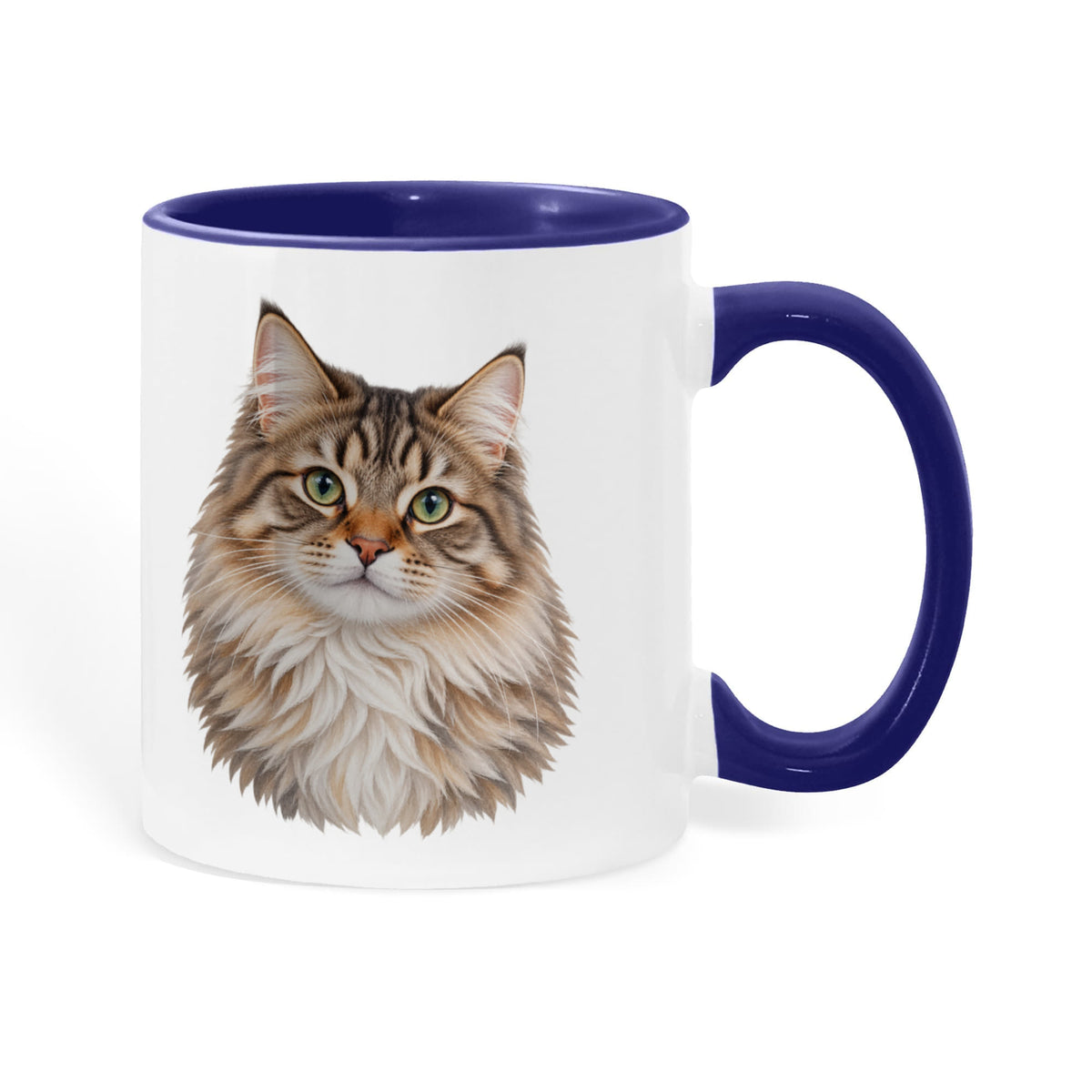 To My Loving Kitties