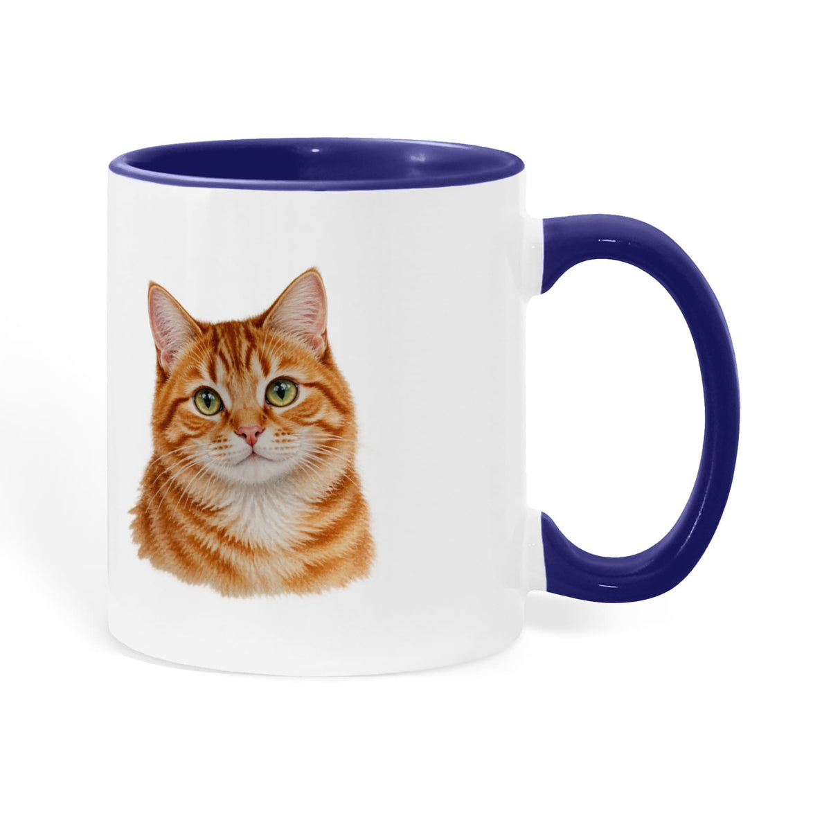 To My Loving Kitties