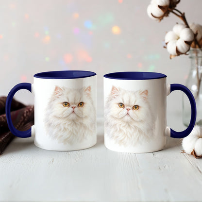 To My Loving Kitties
