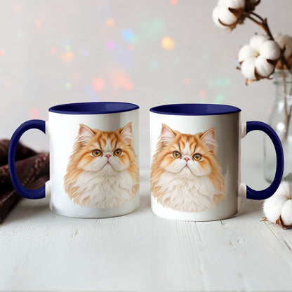 To My Loving Kitties