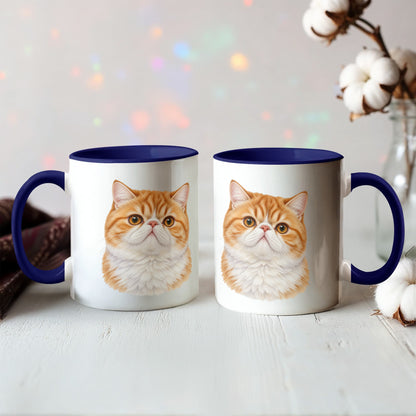 For The Love Of My Kitties