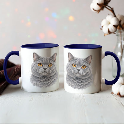 To My Loving Kitties