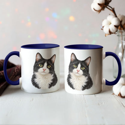 To My Loving Kitties