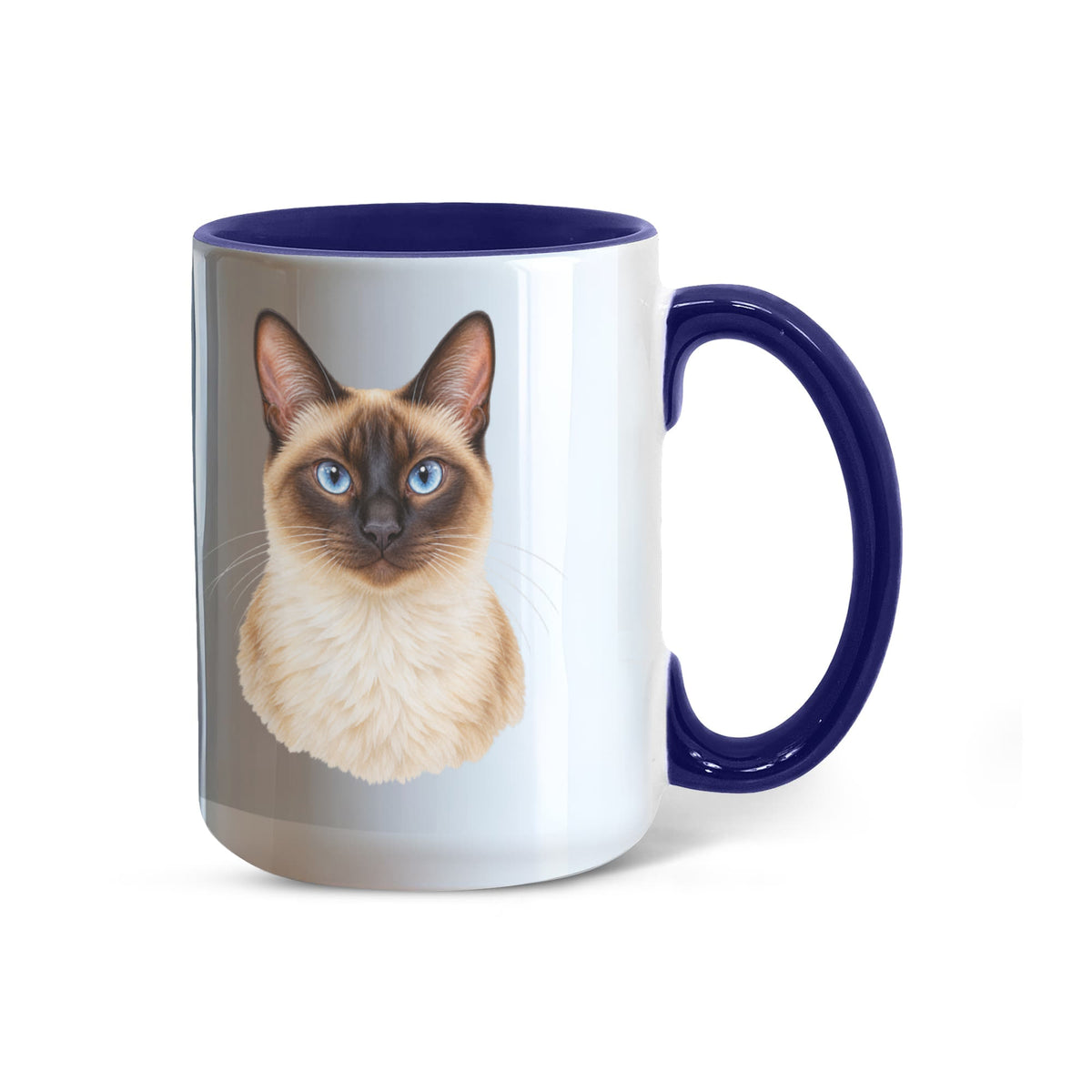 To My Loving Kitties