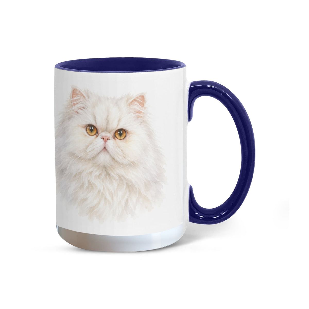 To My Loving Kitties