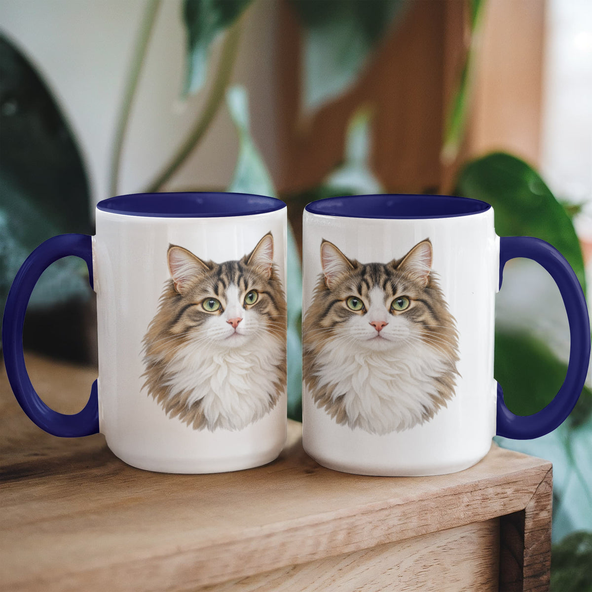 To My Loving Kitties
