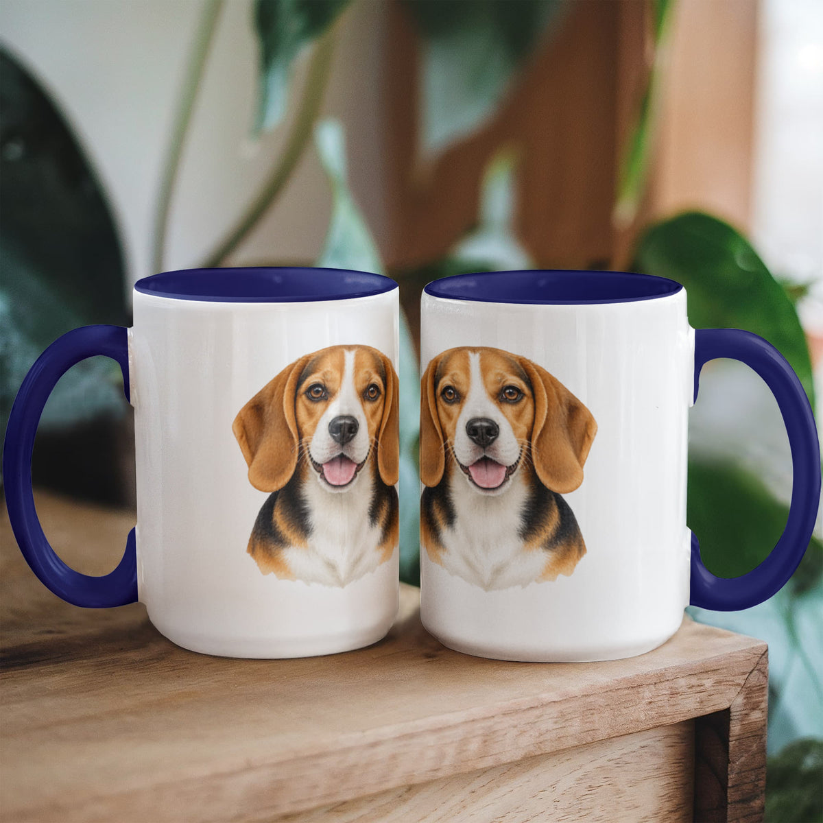 Beagle