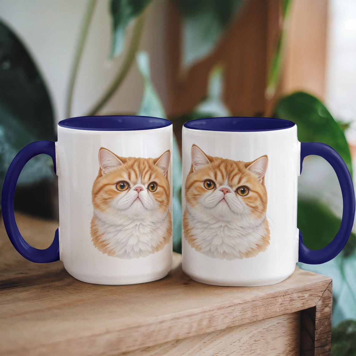 For The Love Of My Kitties