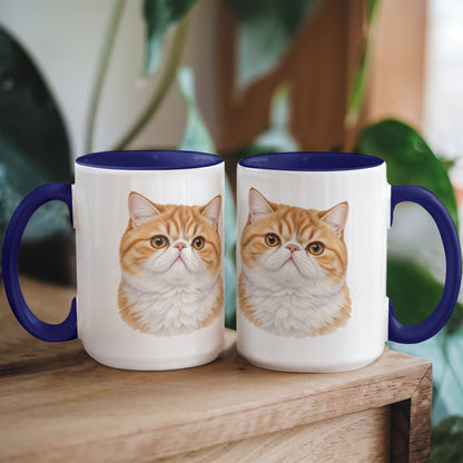 For The Love Of My Kitties