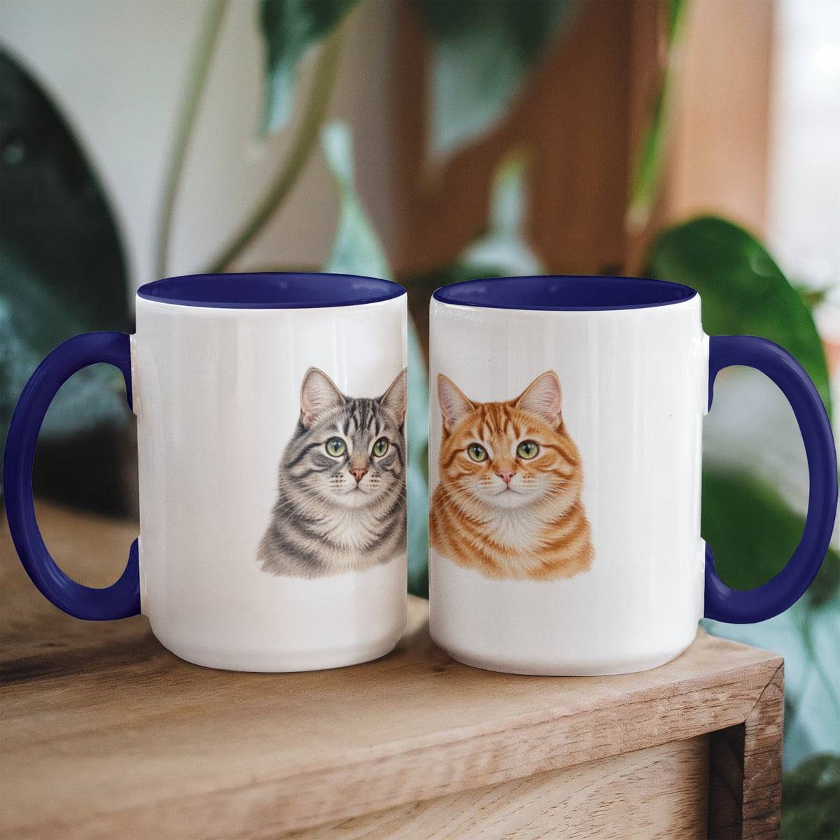 To My Loving Kitties