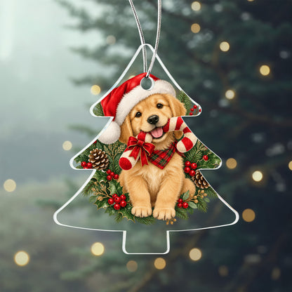 The Most Wonderful Time Of The Year